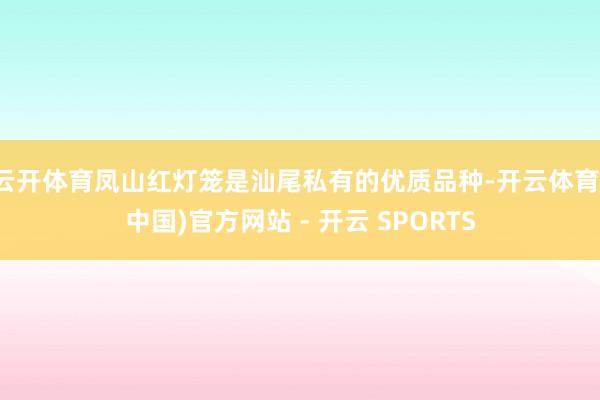 云开体育凤山红灯笼是汕尾私有的优质品种-开云体育(中国)官方网站 - 开云 SPORTS