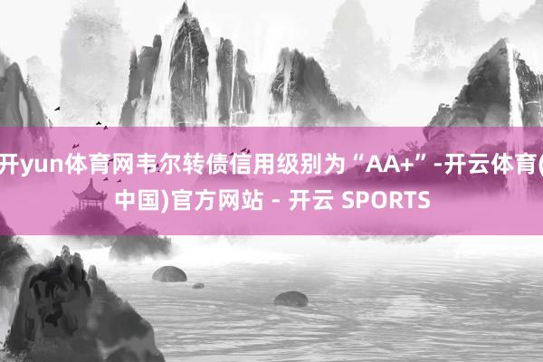 开yun体育网韦尔转债信用级别为“AA+”-开云体育(中国)官方网站 - 开云 SPORTS