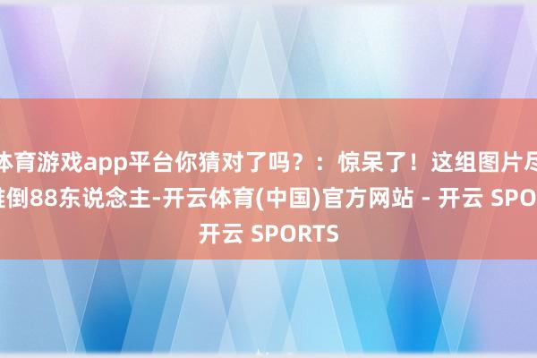 体育游戏app平台你猜对了吗？：惊呆了！这组图片尽然难倒88东说念主-开云体育(中国)官方网站 - 开云 SPORTS