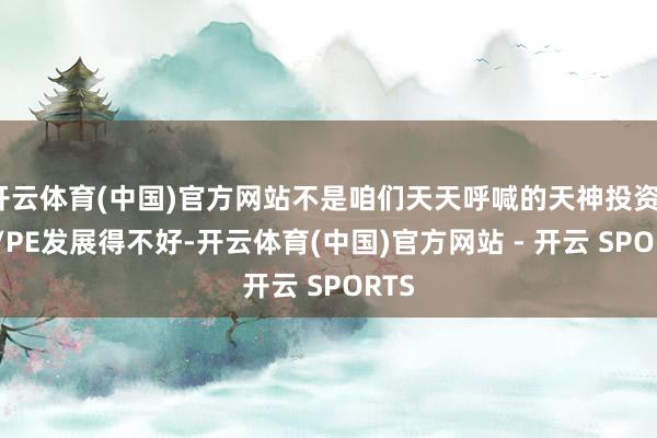 开云体育(中国)官方网站不是咱们天天呼喊的天神投资、VC/PE发展得不好-开云体育(中国)官方网站 - 开云 SPORTS
